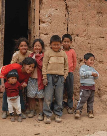 Informe anual: Perú 2009