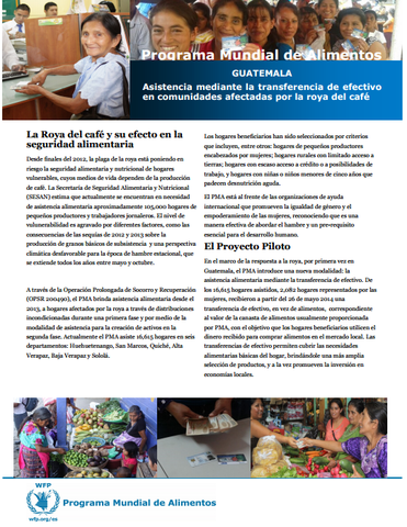 Guatemala: Asistencia mediante la transferencia de efectivo a los afectados por la roya